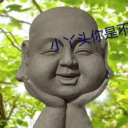 小丫头你是不是欠c了 （雁过留声）