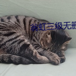 翁虹三级无删减电影在线观看