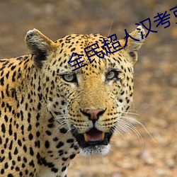 全民超人汉考克在线观看