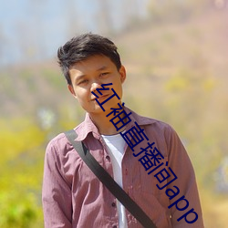 红袖直播间app