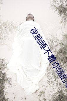 夜晚睡不著你懂的意思老司機
