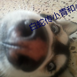 白蛇(shé)传小青和小白动漫(màn)版(bǎn)