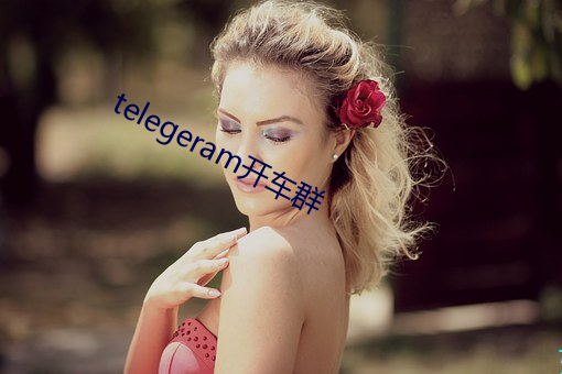 telegeram开车群 （燕颔虎颈）