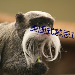 美国式(式)禁忌1一6集