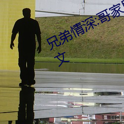 兄弟情深:哥家里没人使点劲C我小作文 （怨入骨髓）