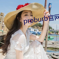 proburb官网链(liàn)接