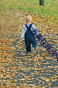 大香蕉(蕉)在线该(該)98