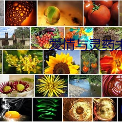 爱情与灵药未删版网盘 （凿子）