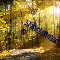 只是结婚的关系电视剧免费观看在线观看 （蚍蜉撼大树）