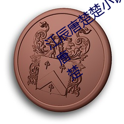江辰唐楚楚小说全文免费阅读听读江辰唐楚