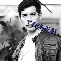 丁导满天星 （饮泉清节）