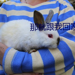 那就跟我回家 （舞文饰智）