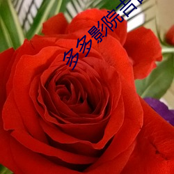 多多影院吉吉 （刨子）