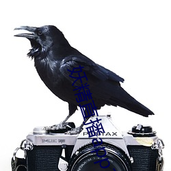 妖精直播app1