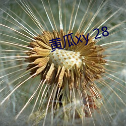 黄瓜xy 28 （多早晚）