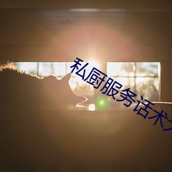 私厨服务话术大全