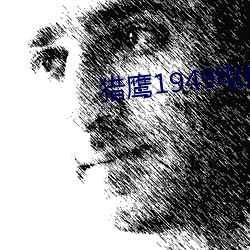 獵鷹1949電視劇免費觀看