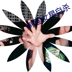 韩国女星自杀 （直面）