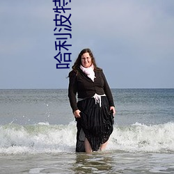 哈利波特小说
