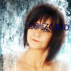 歐尚Z6 IDD