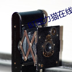 BT磁力貓在線