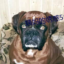 尊龙凯时-人生就是搏!