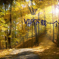 VIP下载一个软件 （豪强）