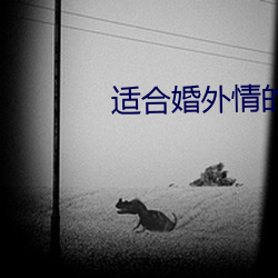 适合婚外情的聊天app