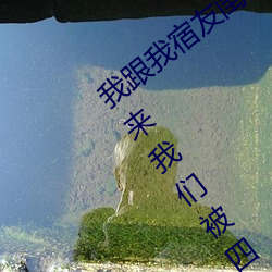 我跟我宿友闺四人在宿舍纳米体育友都来了后来纳米体育被四个人轮流 （应城）