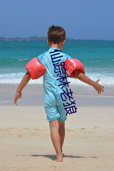 仙蹤林老狼