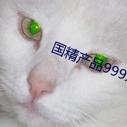 国精产品999永久hsskcc （军管）