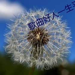 歌曲好人一生平安原唱簡譜教唱