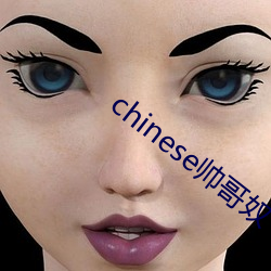 chinese帅(shuài)哥奴