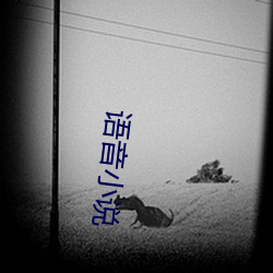 语音(yīn)小说