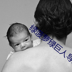 绿(綠)菠萝绿(綠)巨人导(導)航