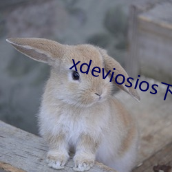 xdeviosios