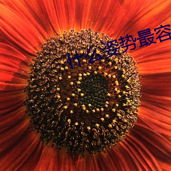 什么姿势最容易撞(撞)到子(子)宫