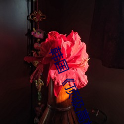 韓國《頂級高校》