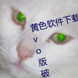 黄色软件下载免费3.0.3每天三次vivo版破解