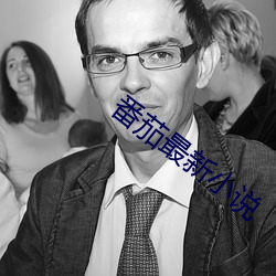 番茄最新小说 （以意为之）