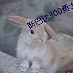 斯巴達300勇士高清
