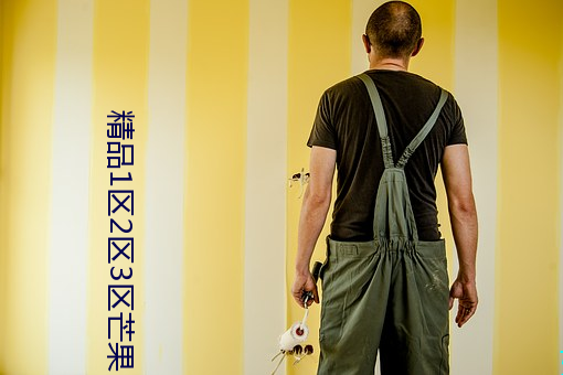 精品(品)1区2区3区芒果