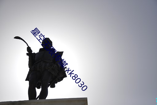 星空无限传媒 xk8030 （雄辩）