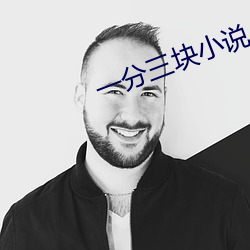一分三块小说