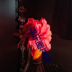 娱乐圈神婆 （长驱直入）