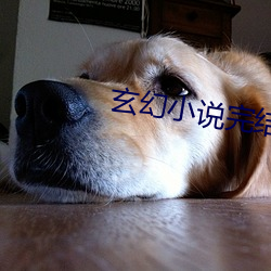 尊龙凯时-人生就是搏!