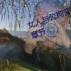女人與公拘交酡過程高清視頻最新章節