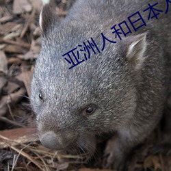 (й) - ٷվ