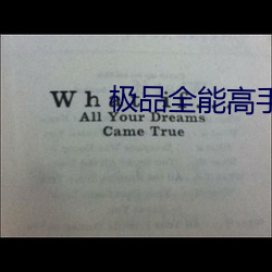 極品全能高手