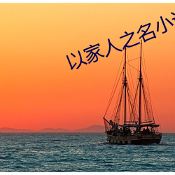 以家人之名小说